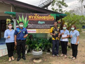 สำรวจสถานประกอบการเพื่อขอรับใบอนุญาตให้จำหน่ายหรือแปรรูปสมุนไพรควบคุม(กัญชา)เพื่อการค้า ในเขตอำเภอสิชล